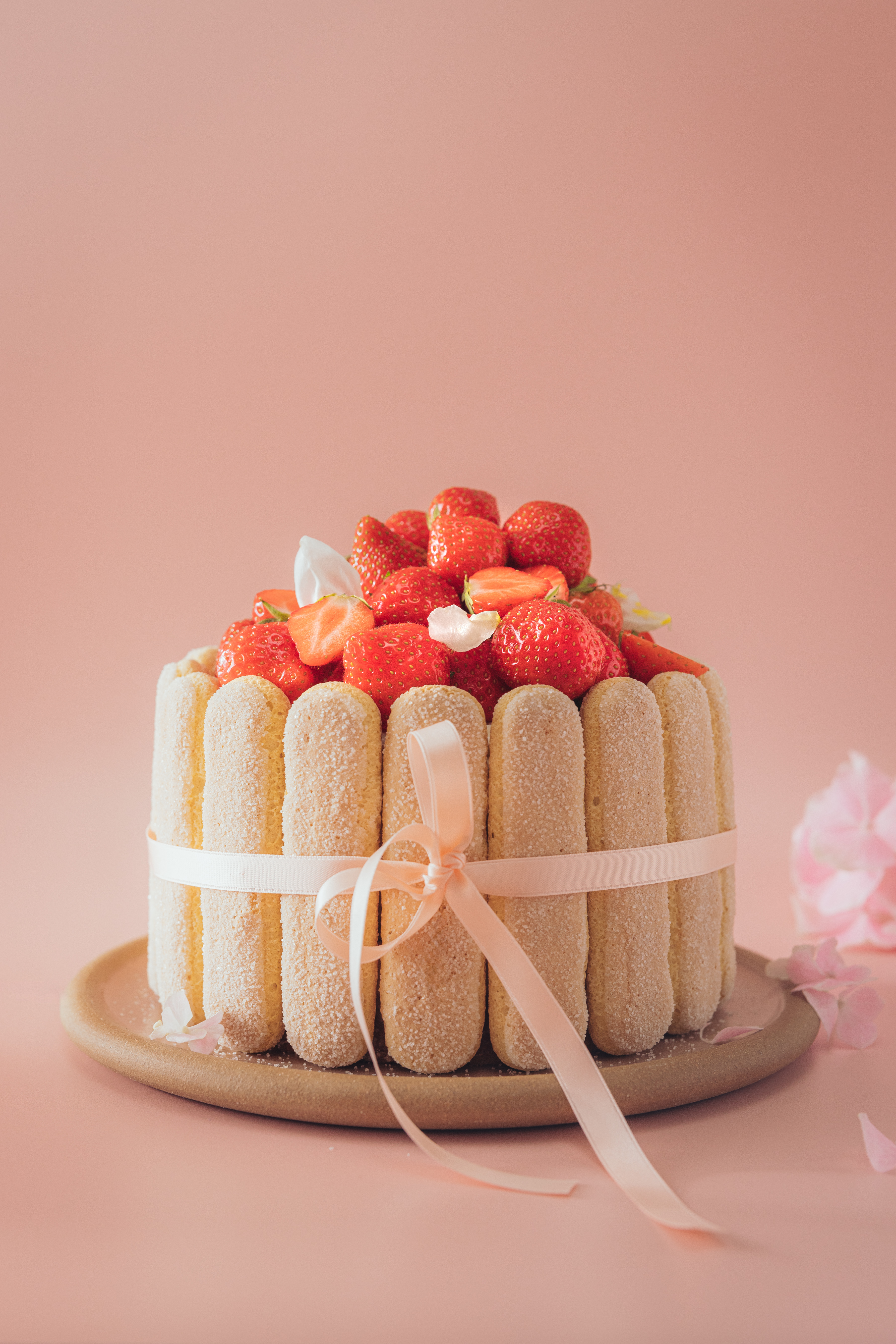 Charlotte cake with biscotti