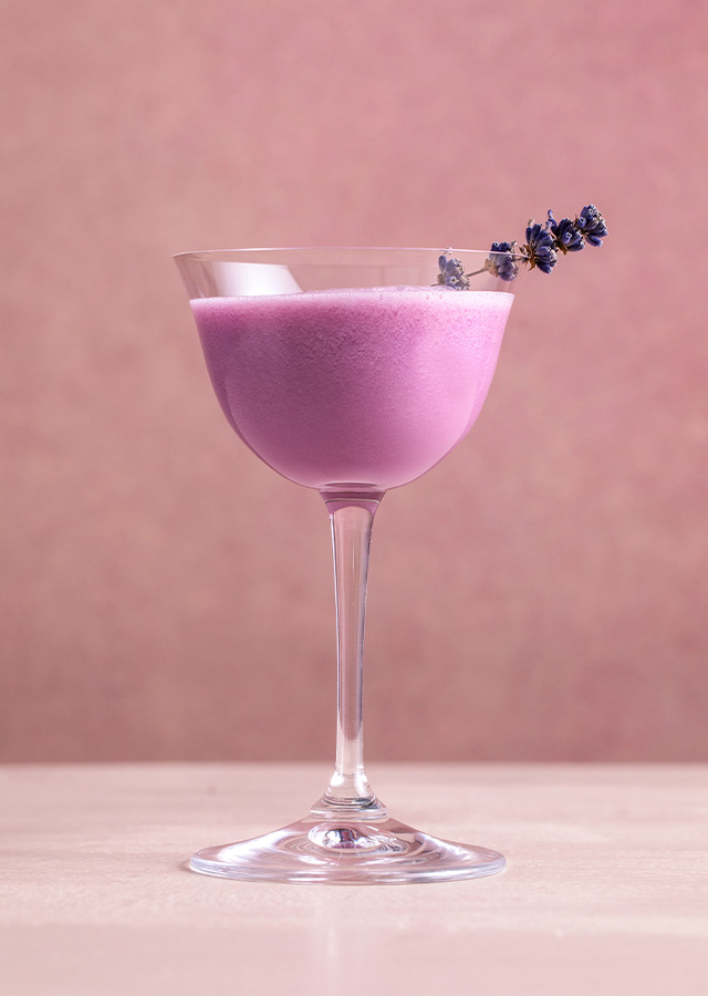 Cocktailglas mit cremigem, hellviolettem Getränk und Lavendelzweig als Garnitur vor einfarbigem Hintergrund